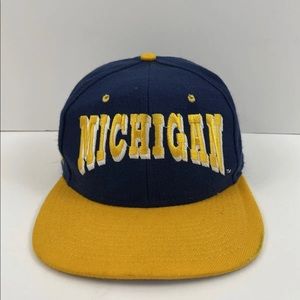 Michigan Wolverines Blockhead Fitted Hat
